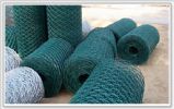 Hexagonal Wire Netting 